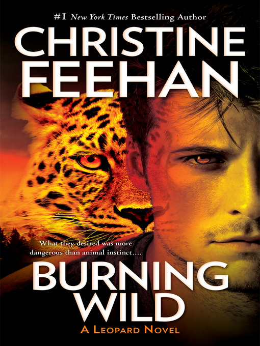 Cover image for Burning Wild